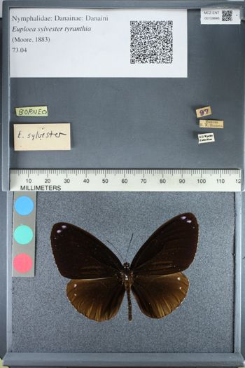 Media type: image;   Entomology 159846